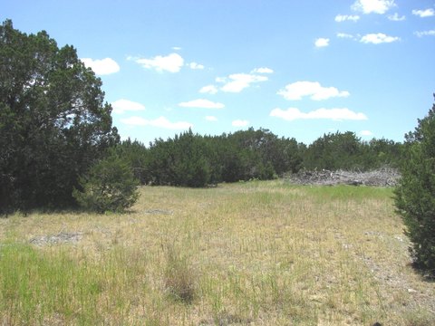 20 Acres in Gated Community
