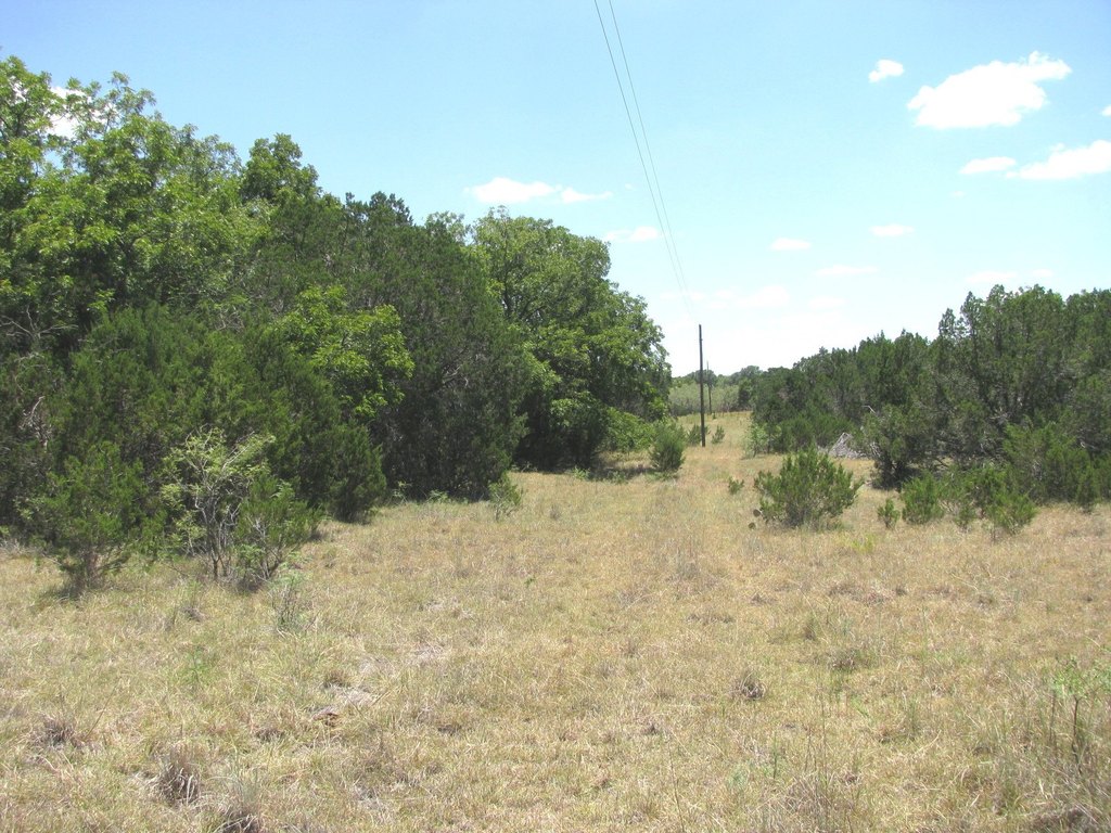 Picture 8