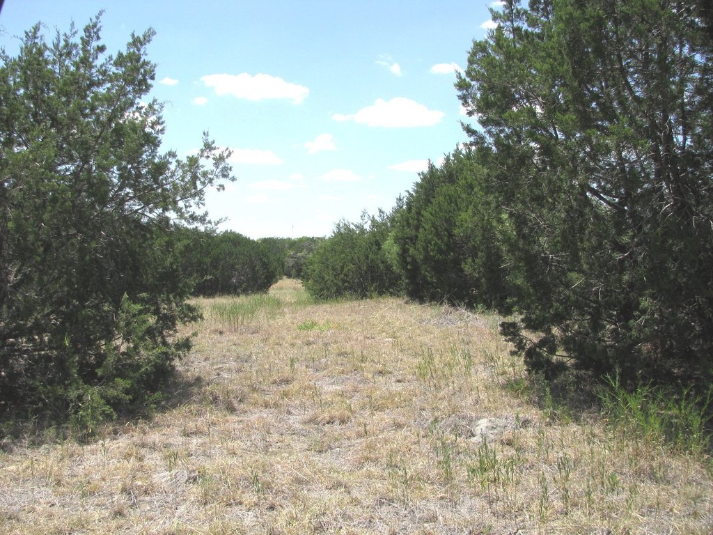 Picture 6