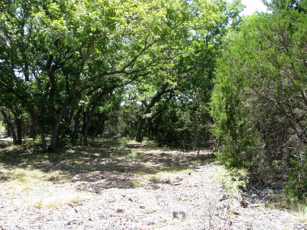 Picture 15