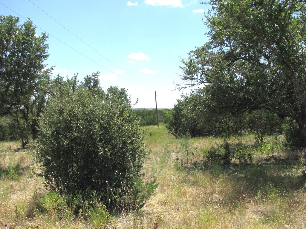 Picture 3