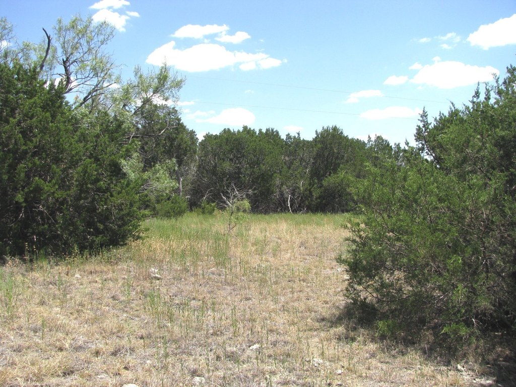 Picture 13