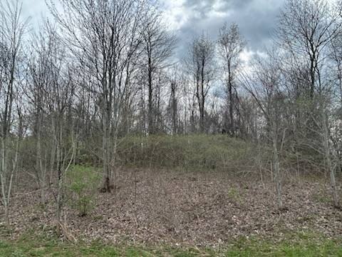 Picture 15