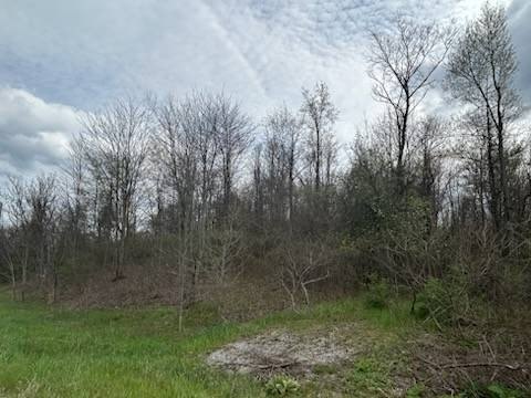 Picture 14