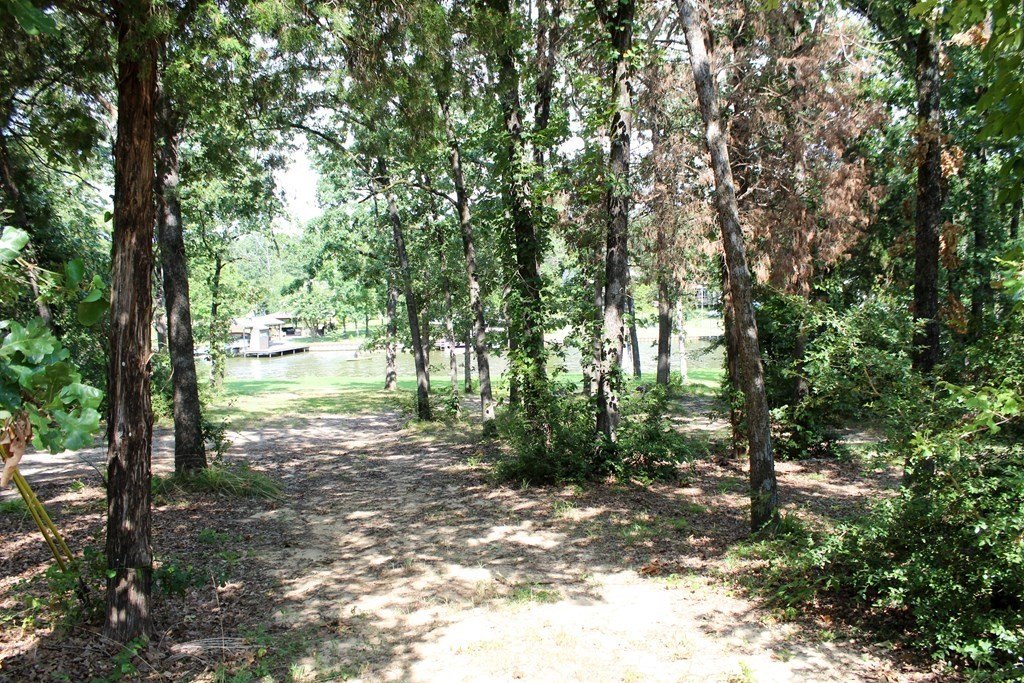 Picture 5