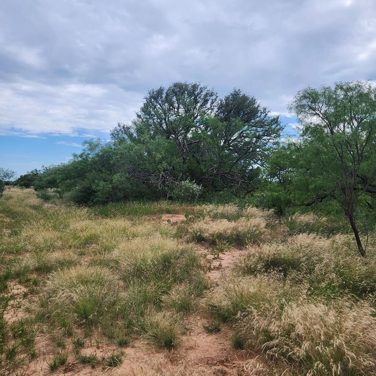 Picture 25