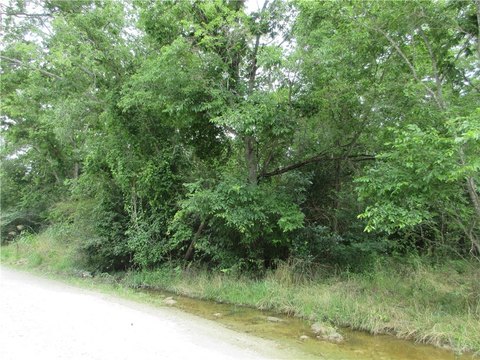 Heavily Wooded Land in Marlin