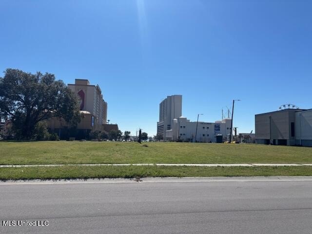 Picture 4