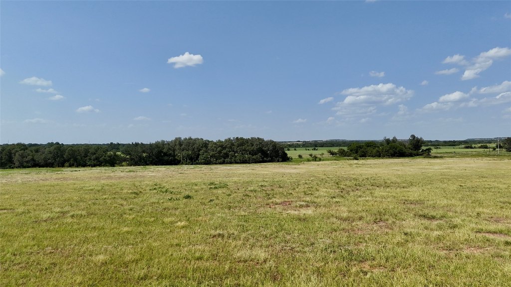 Picture 23