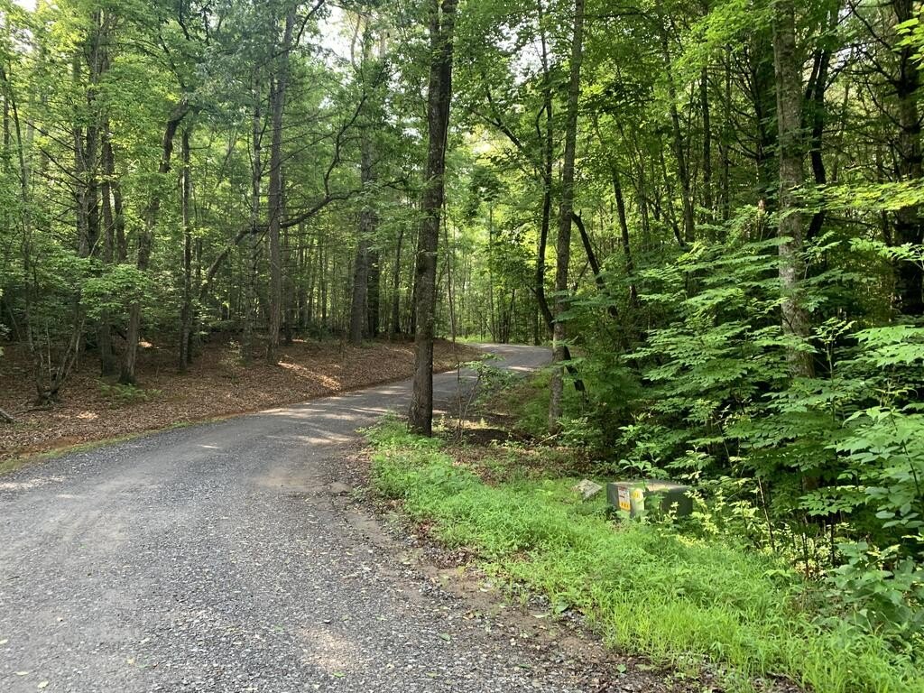Picture 21