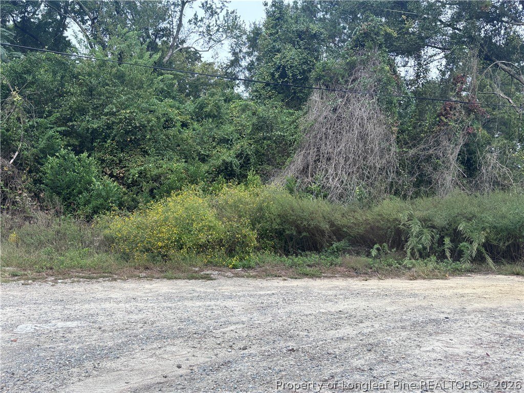 Picture 5