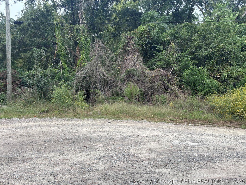 Picture 8