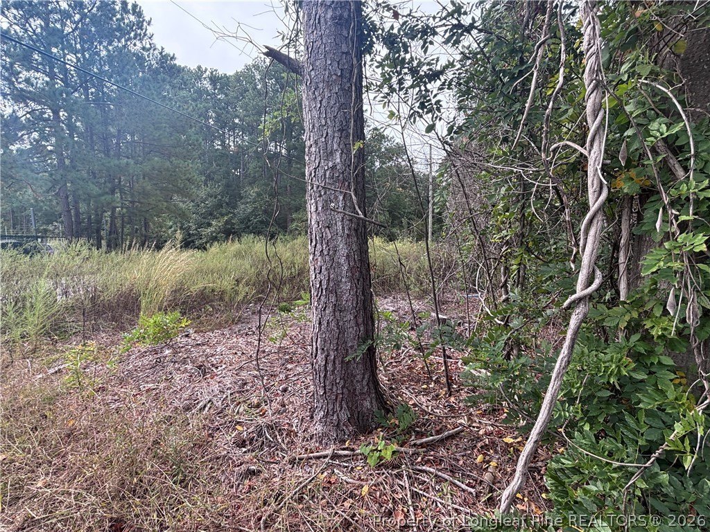 Picture 14