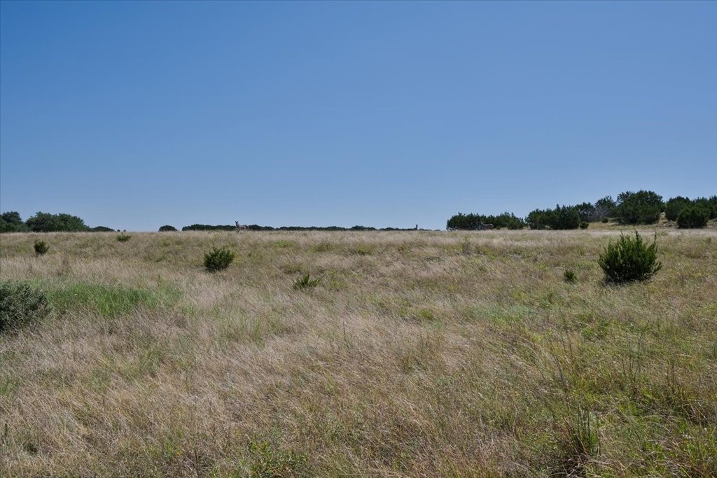 Picture 29