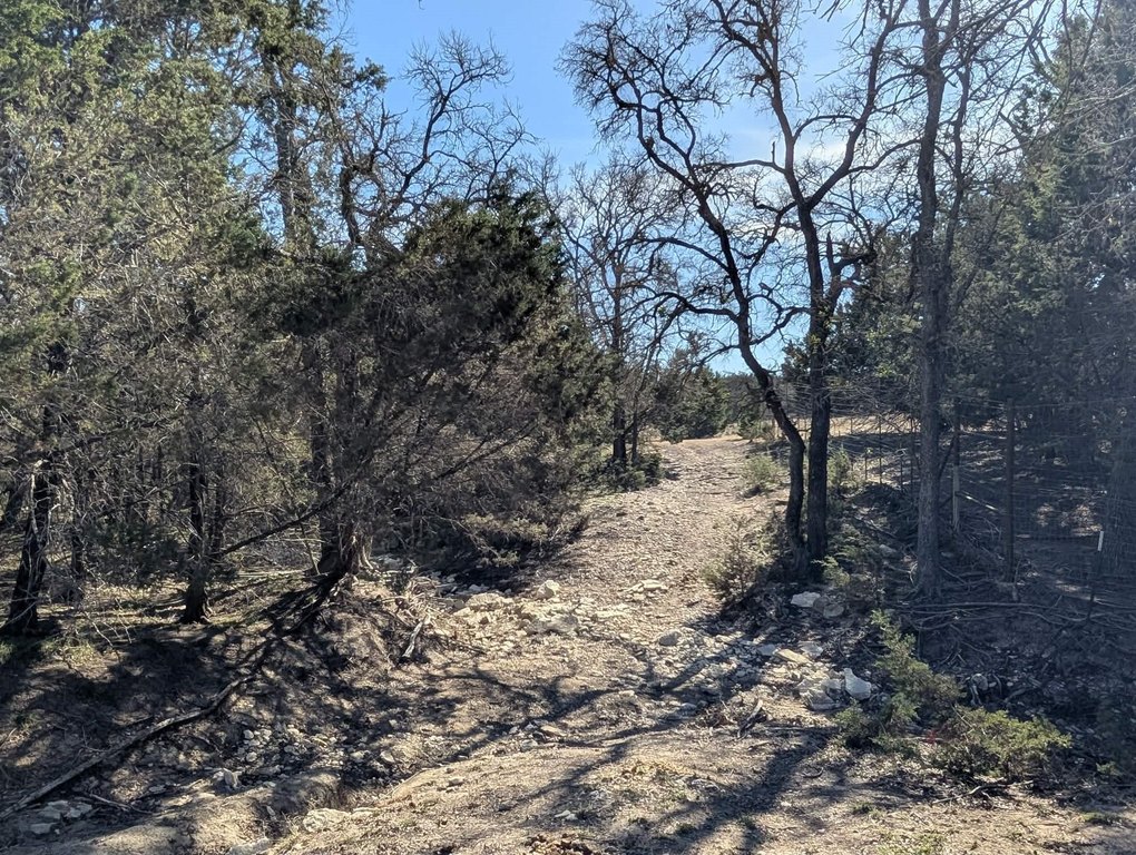 Picture 22