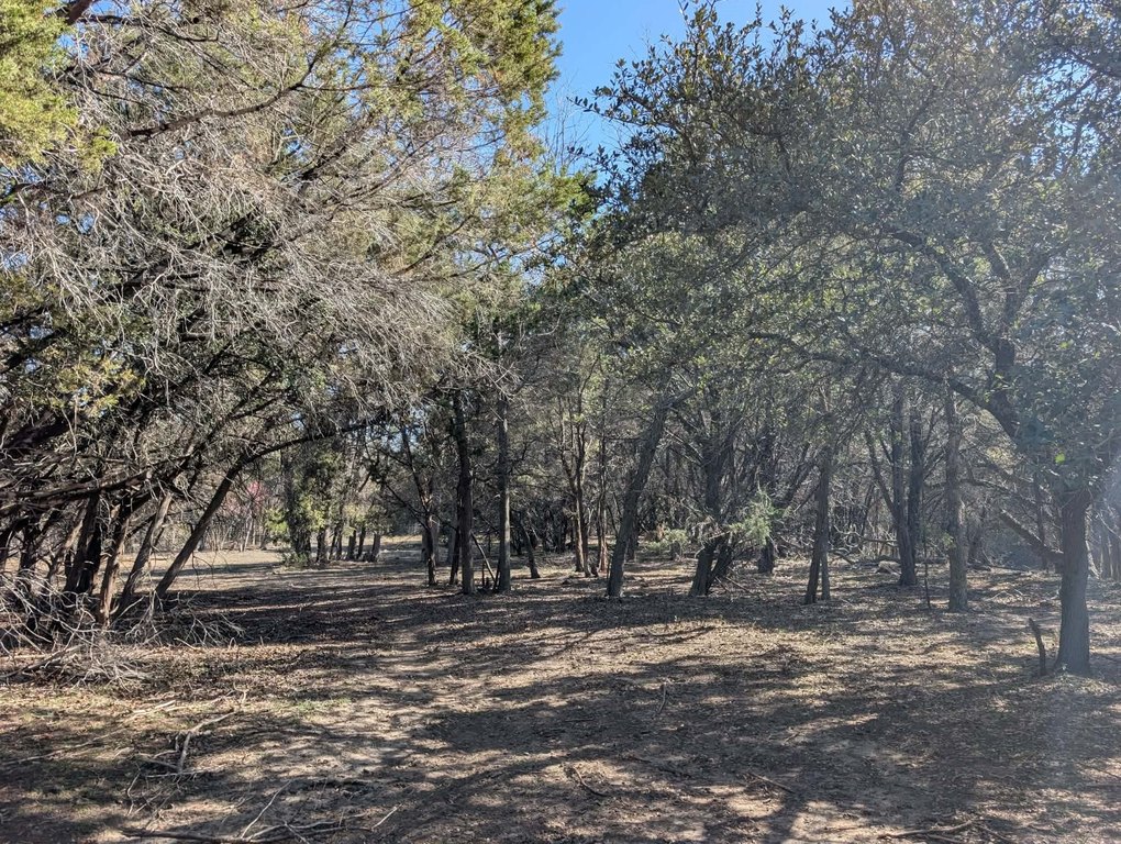 Picture 19