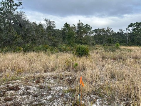 Land, Sebring, FL