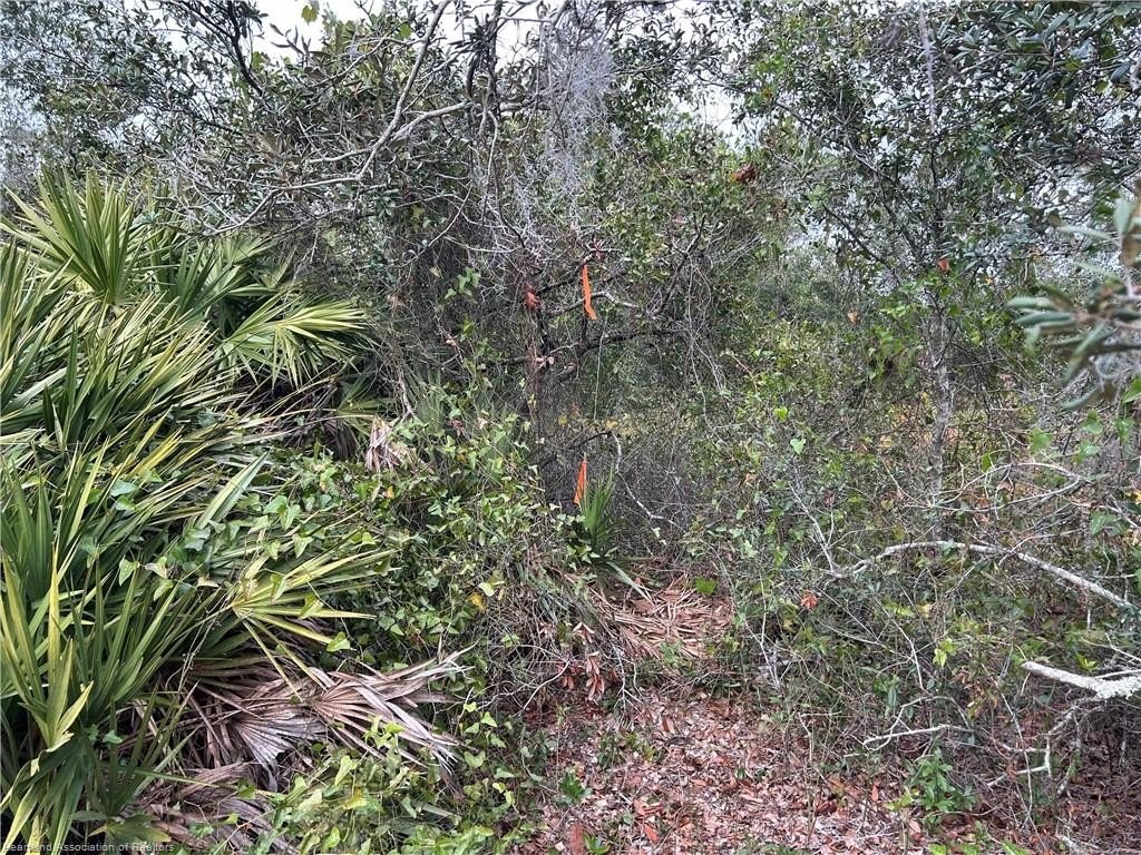 Picture 13