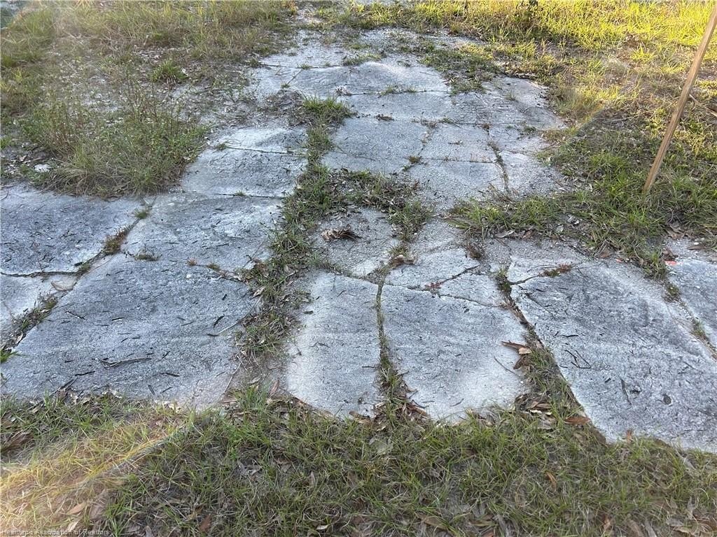 Picture 5