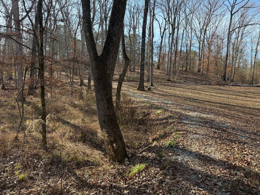 Picture 19