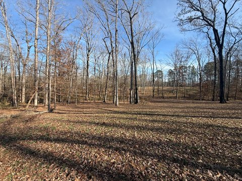Homesite with Existing Dirt Work