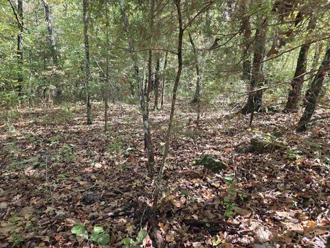 Vacant Land, Horseshoe Bend, AR