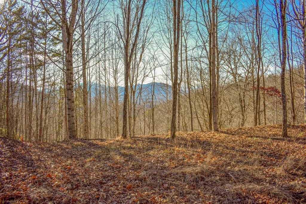 Land with Western Facing Views