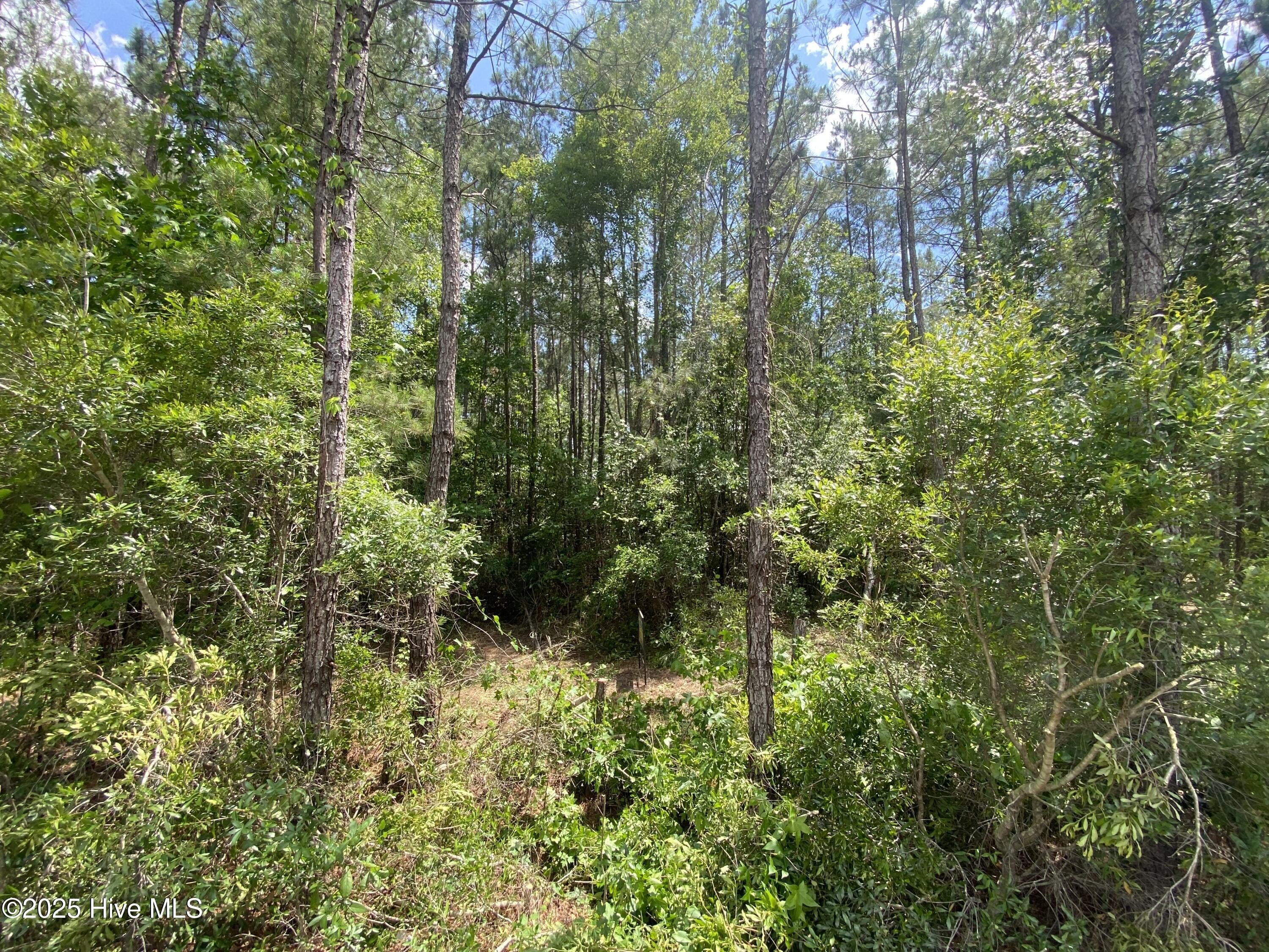 Leland, NC Half Acre Lot