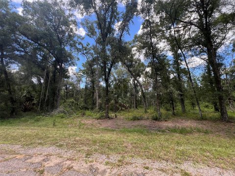 Land, DUNNELLON, FL