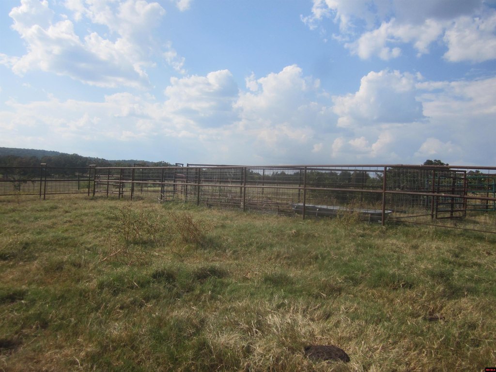 Picture 27