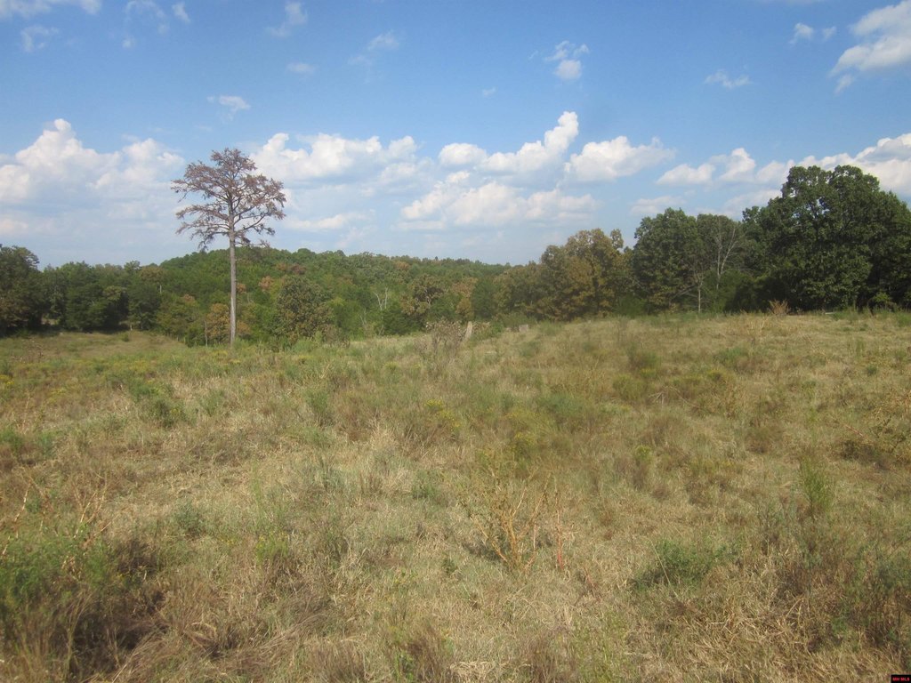 Picture 22