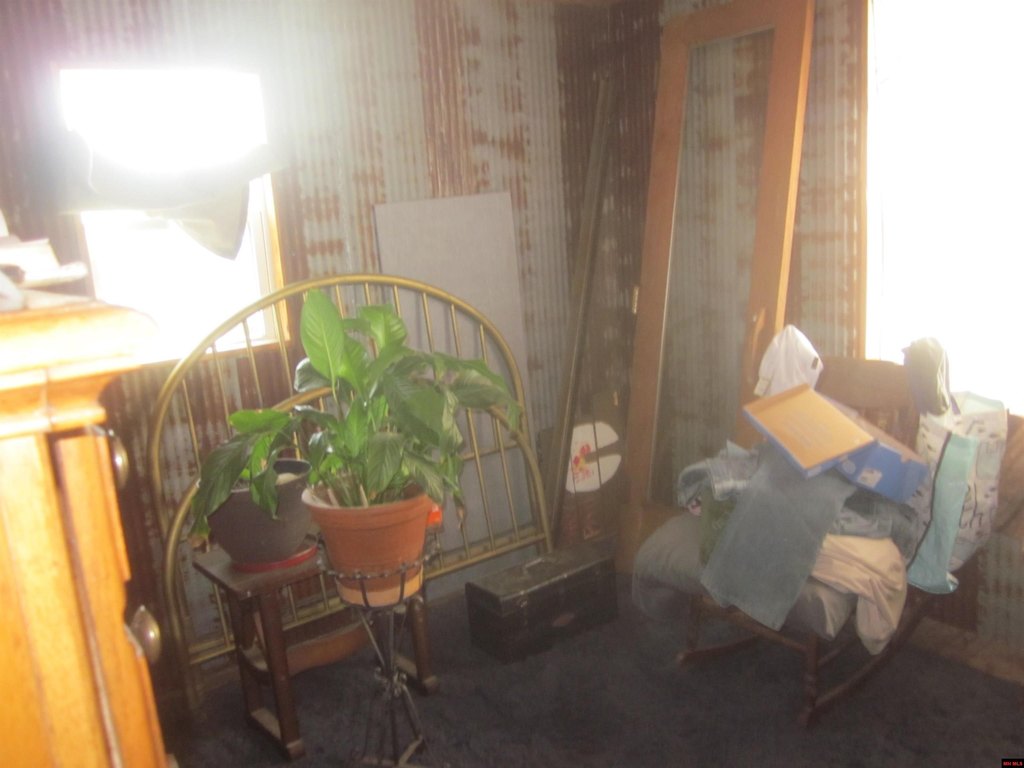 Picture 11
