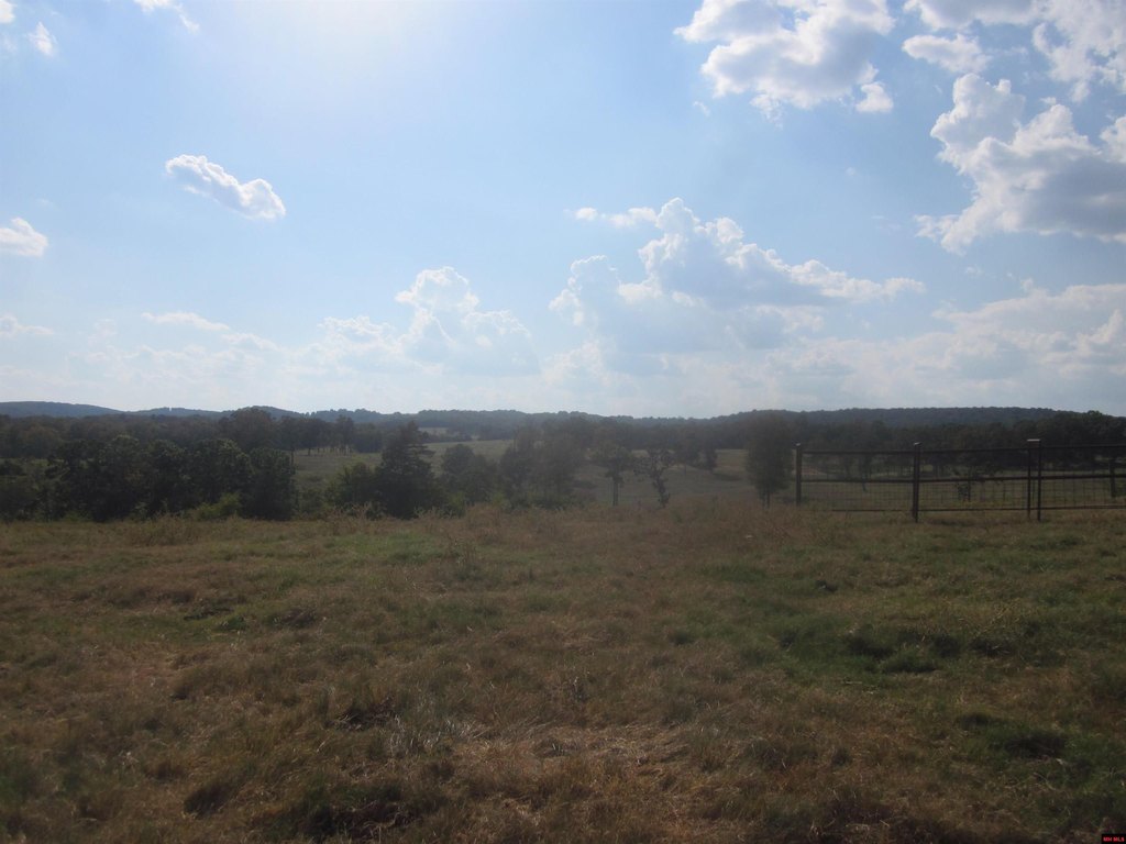 Picture 28