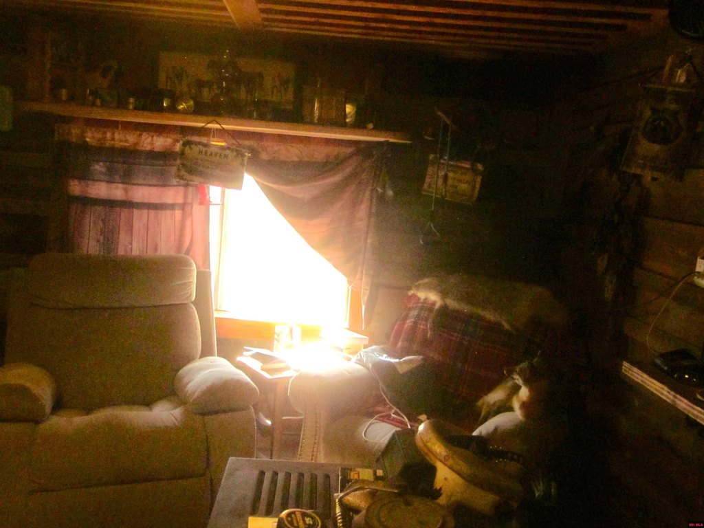 Picture 8