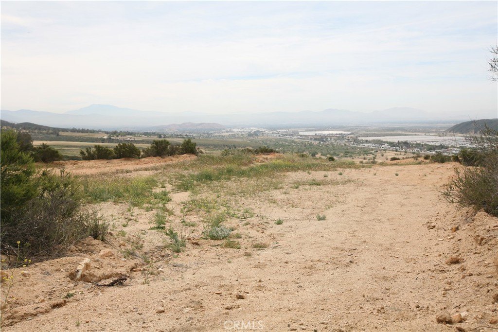 Picture 21