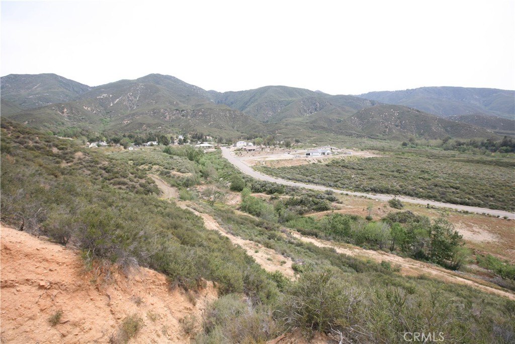 Picture 24