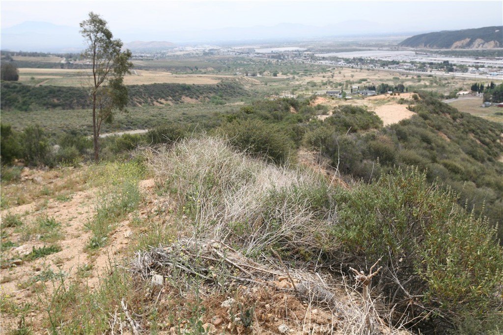 Picture 26