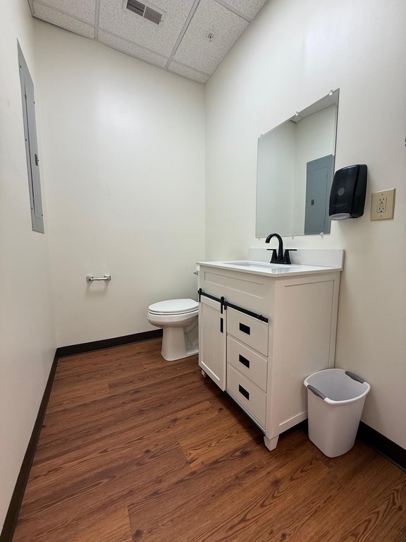 Picture 6