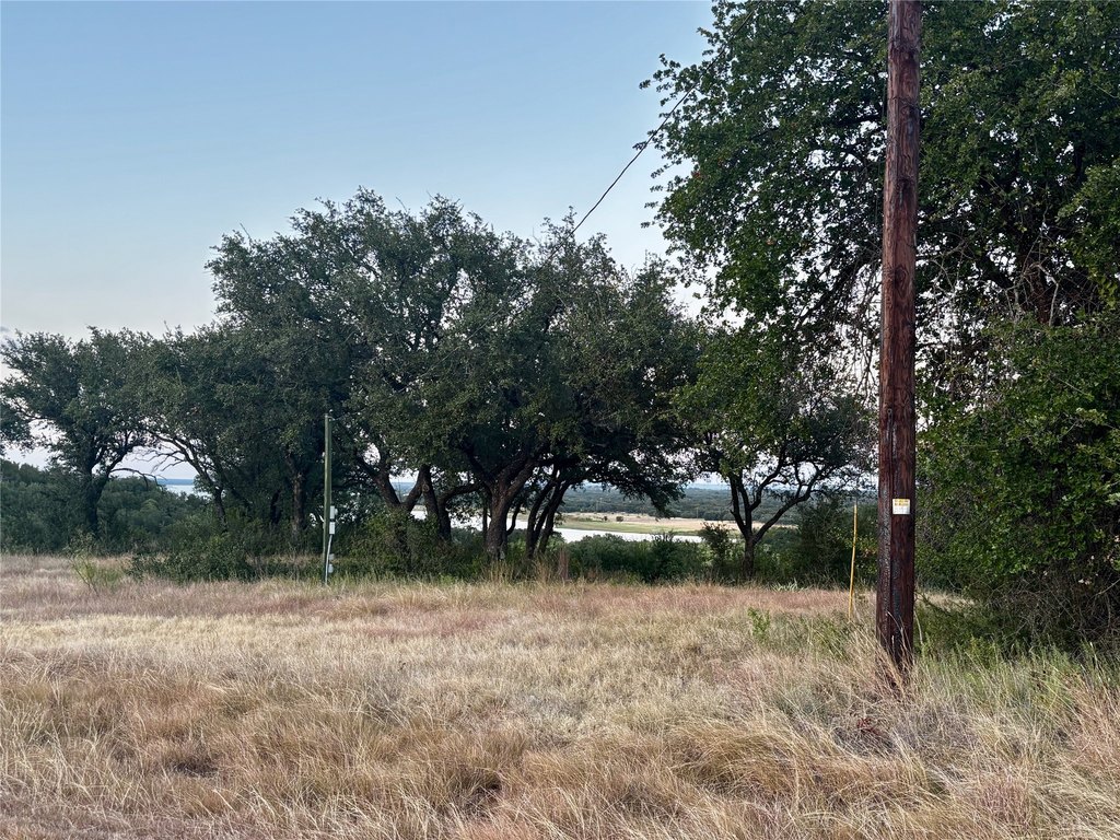 Picture 16