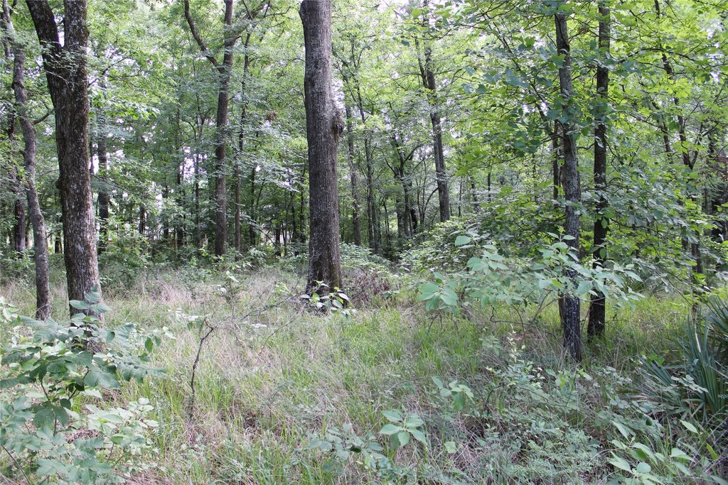 Picture 8