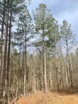 LAND - Broken Bow, OK