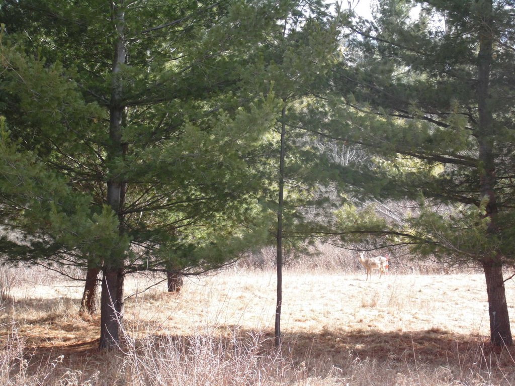 Picture 9