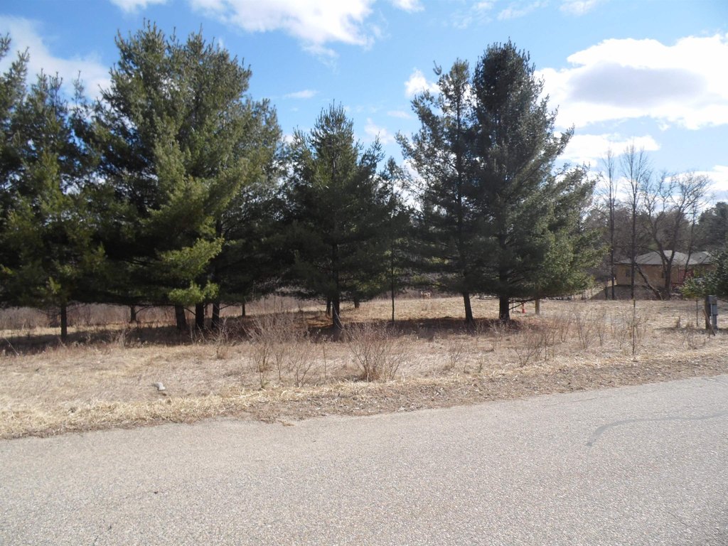 Picture 6