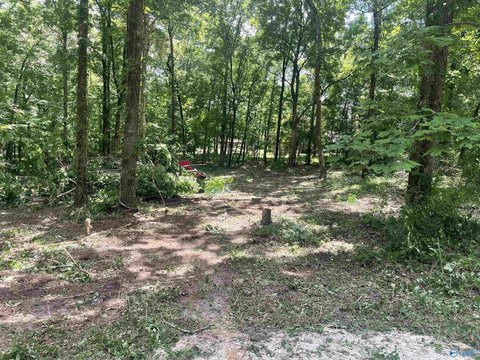 LAND - Gadsden, AL