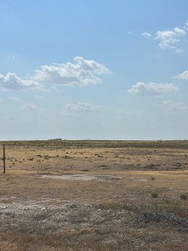 LAND - Goodwell, OK