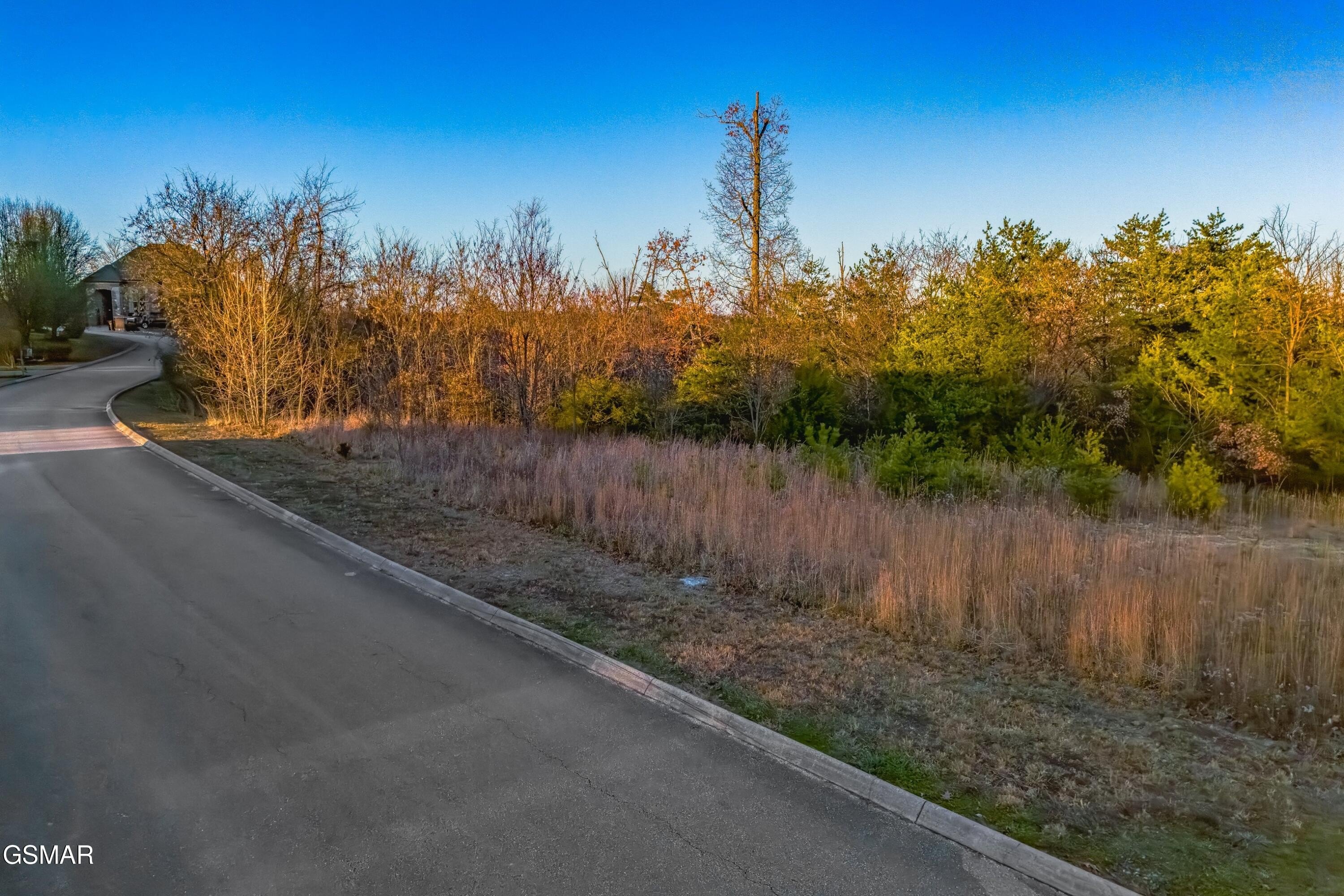 Douglas Lake Waterfront Land