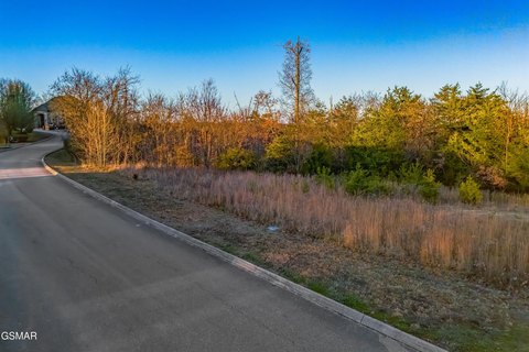 Douglas Lake Waterfront Land