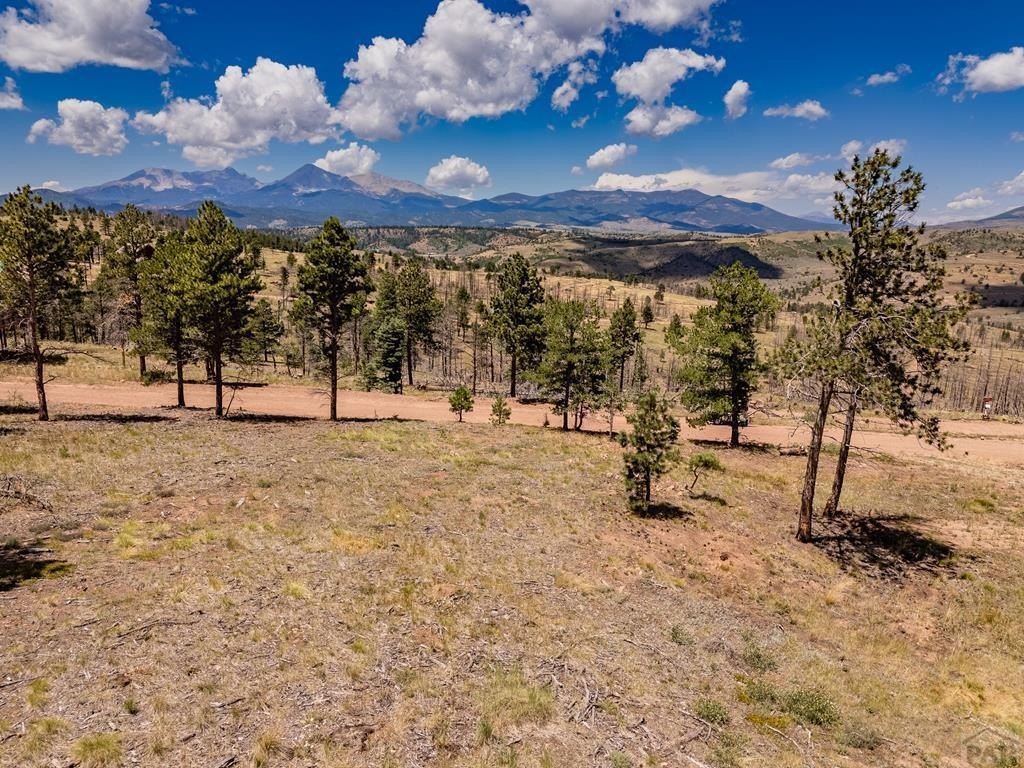 Forbes Park Mountain Land