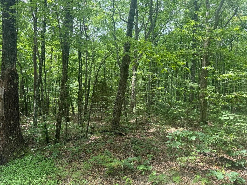 Picture 20
