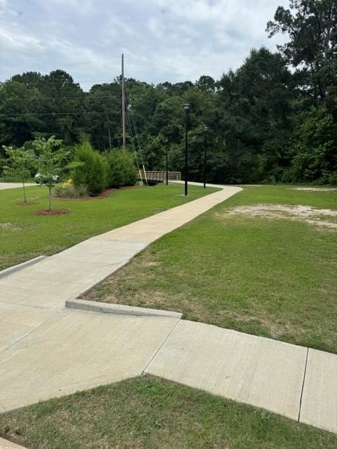 Picture 8